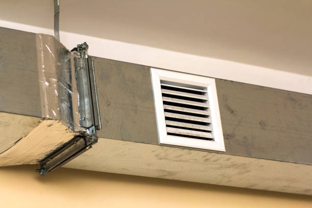 Best Commercial Air Duct Cleaning  in Tice, FL